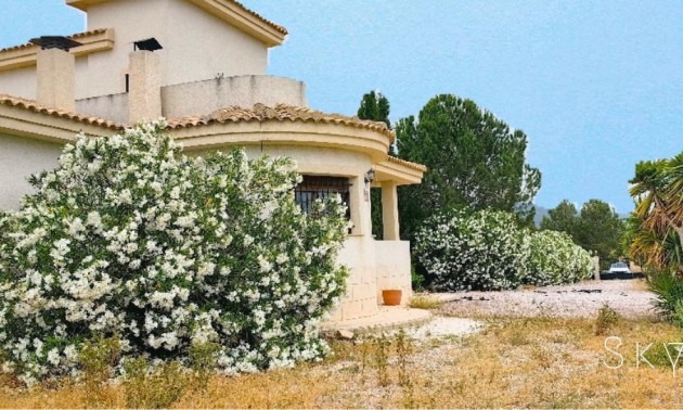 Villa - Resale - Pinoso - CSPX-85269