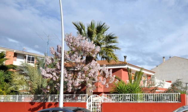 Villa - Resale - Sax - Sax Centro