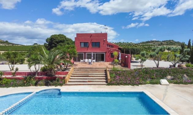 Villa -  -  - San Miguel de Salinas Centro