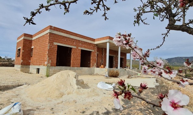 Villa - zum Verkauf - Pinoso - Pinoso Centro