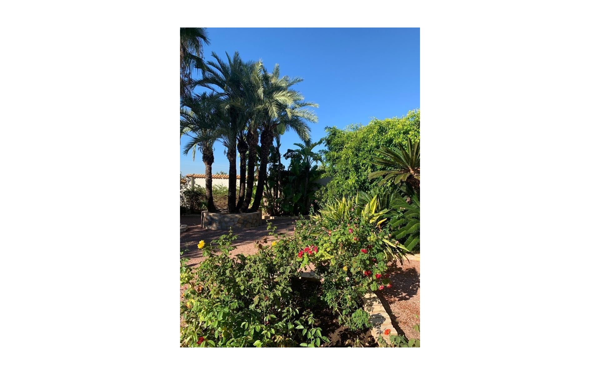  - Villa - 