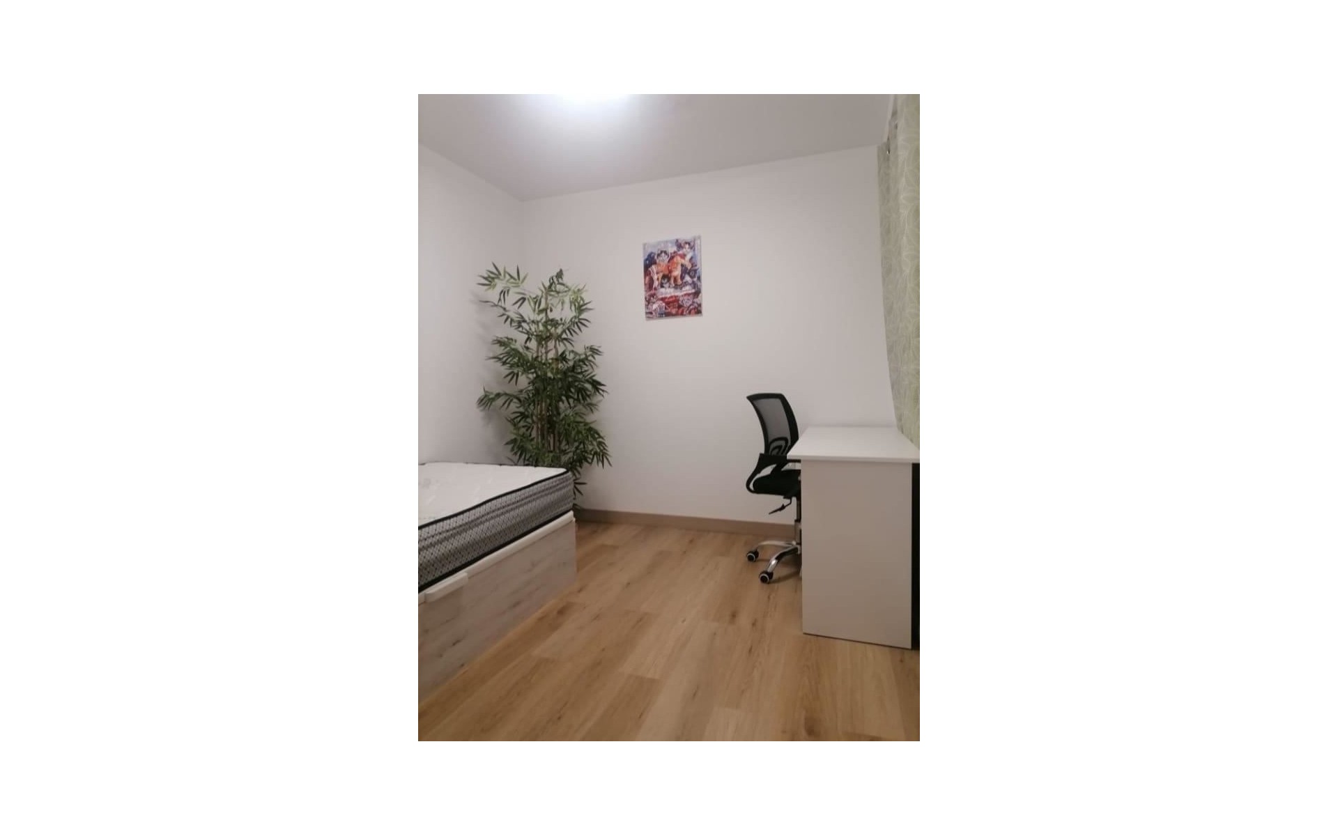 zum Verkauf - Apartment - Alicante - Alicante City Centro