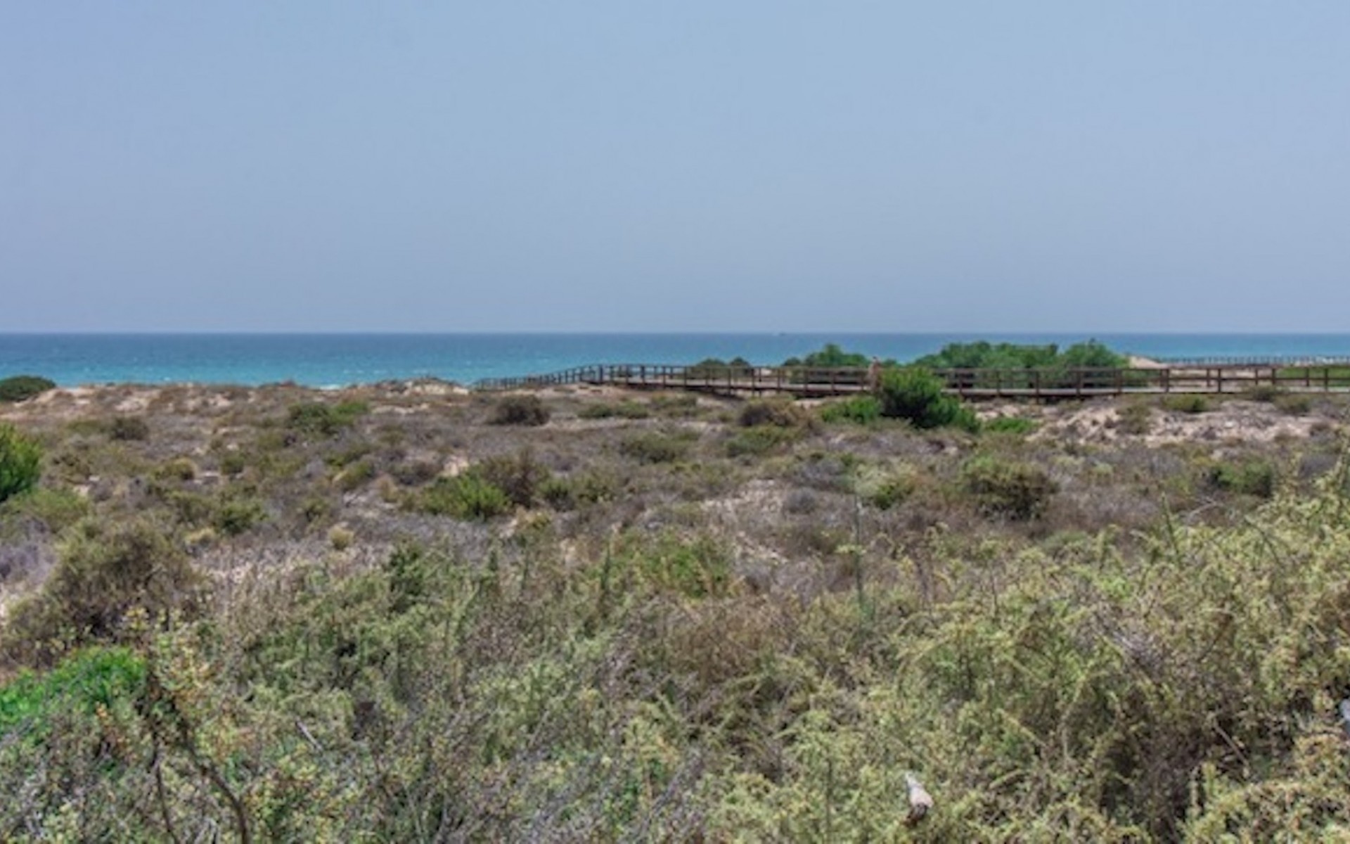 zum Verkauf - Apartment - Arenales Del Sol