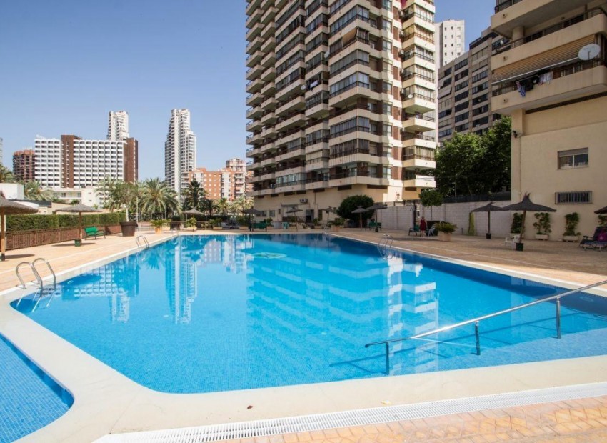 zum Verkauf - Apartment - Benidorm - Benidorm Centro