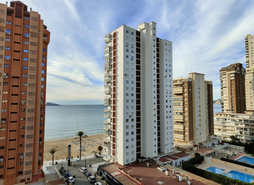 zum Verkauf - Apartment - Benidorm - Benidorm Centro
