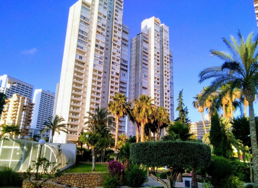 zum Verkauf - Apartment - Benidorm - Benidorm Centro