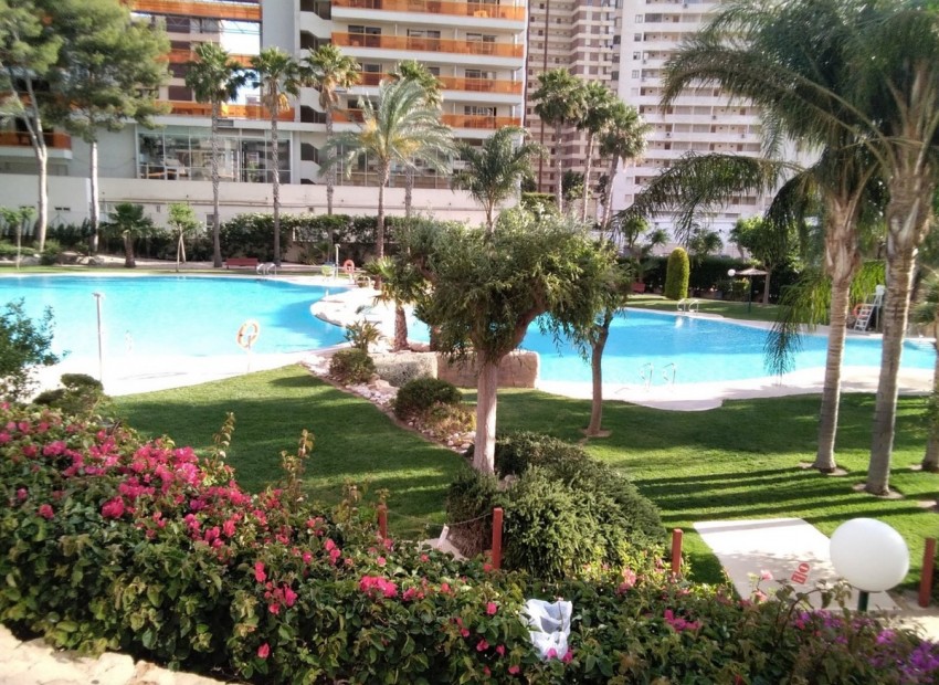 zum Verkauf - Apartment - Benidorm - Benidorm Centro