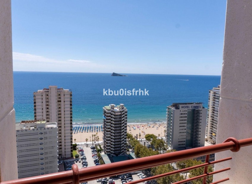 zum Verkauf - Apartment - Benidorm - Benidorm Centro