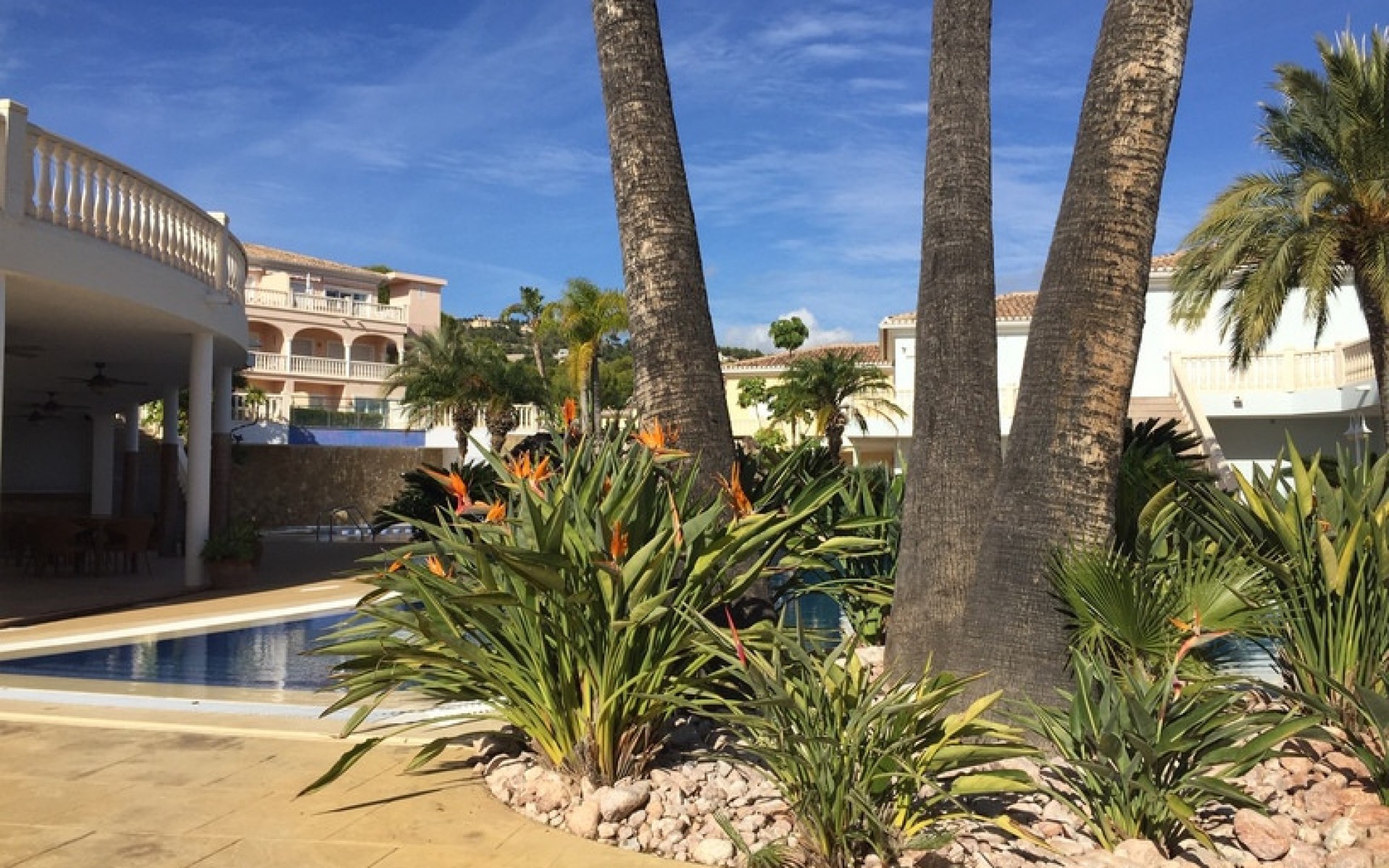 zum Verkauf - Apartment - BenIssa - La Fustera