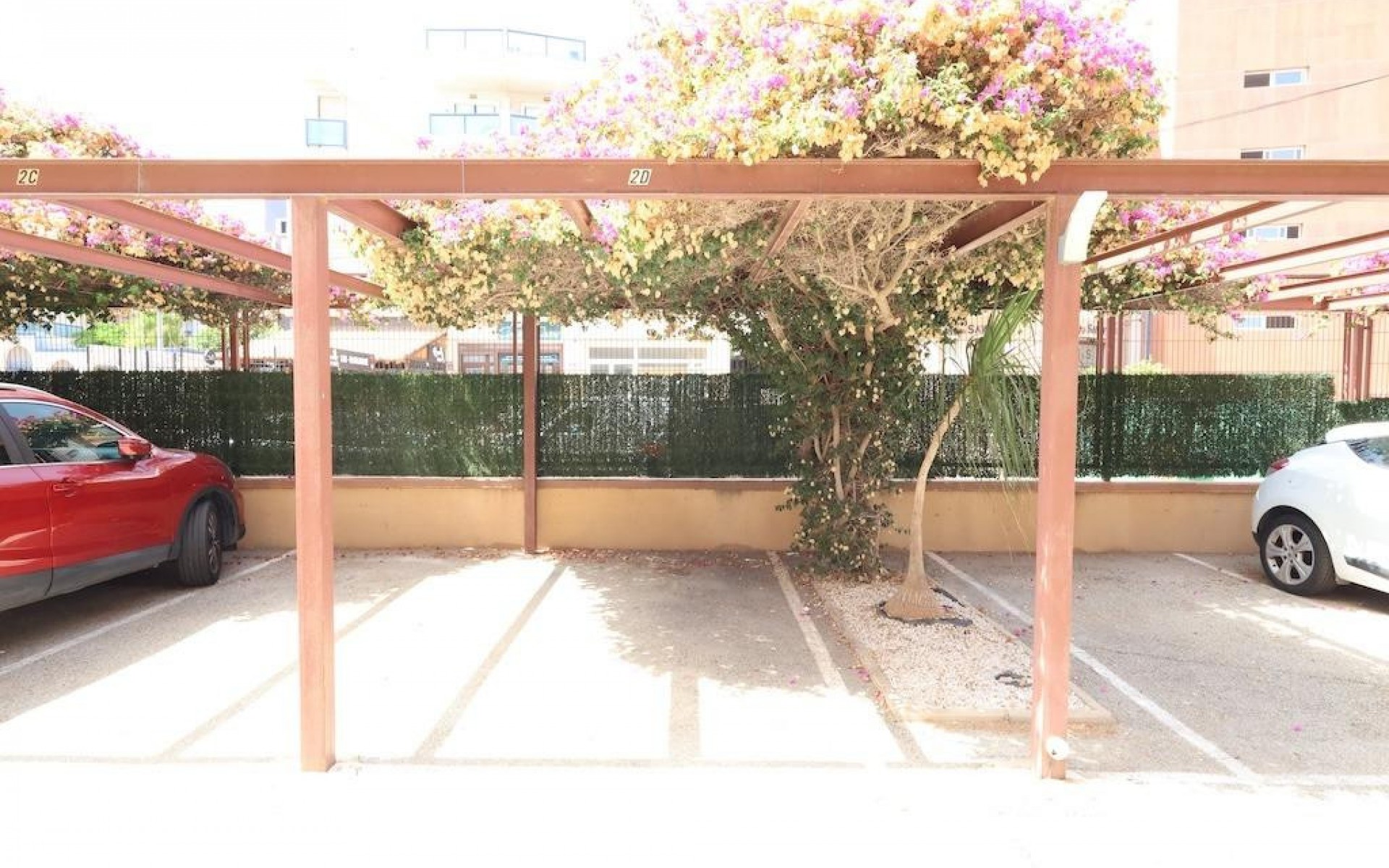 zum Verkauf - Apartment - Cabo Roig - La Regia