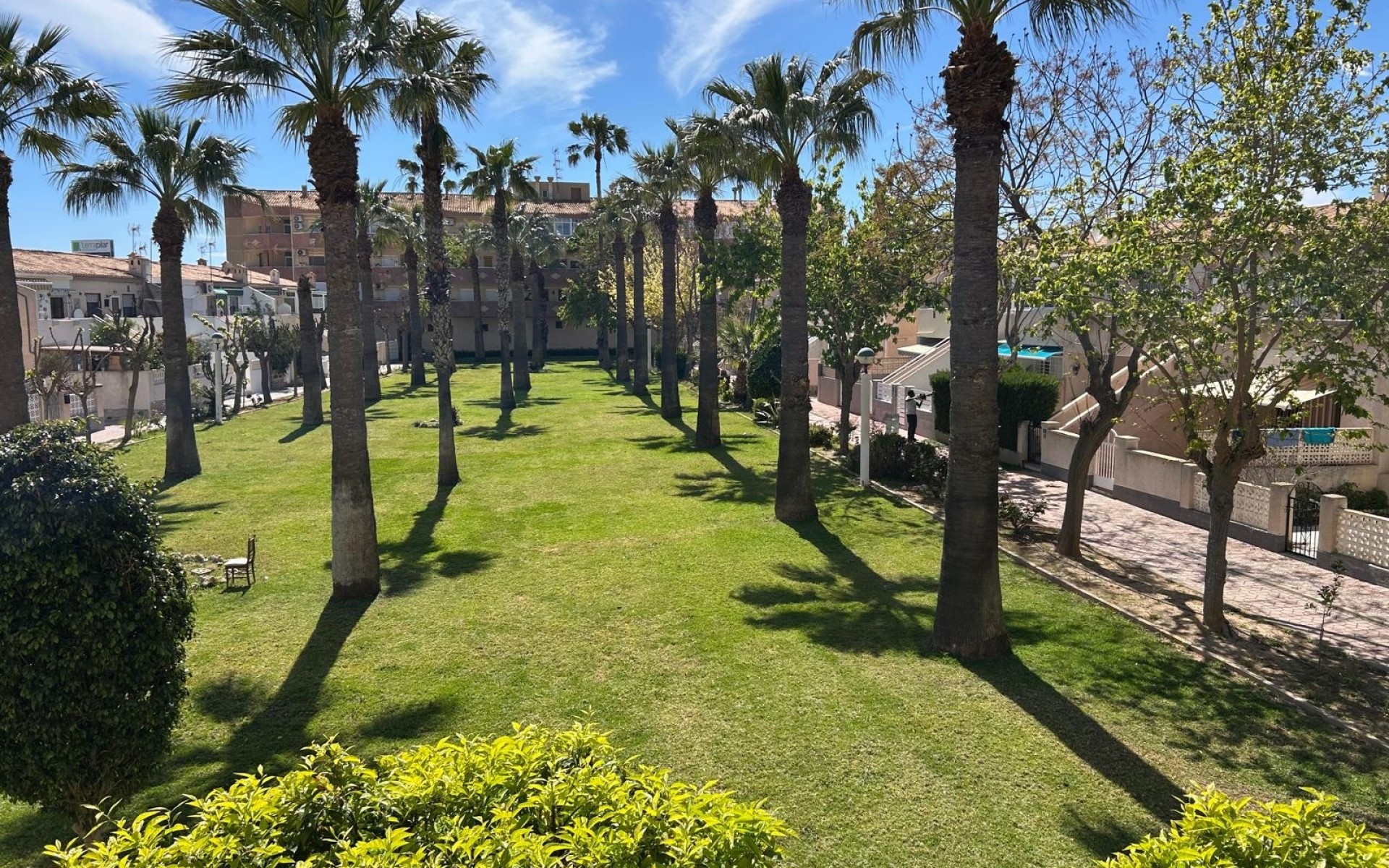 zum Verkauf - Apartment - Cabo Roig