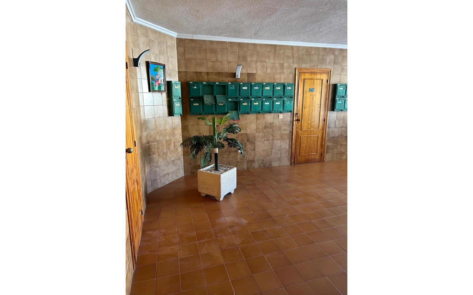 zum Verkauf - Apartment - Cabo Roig