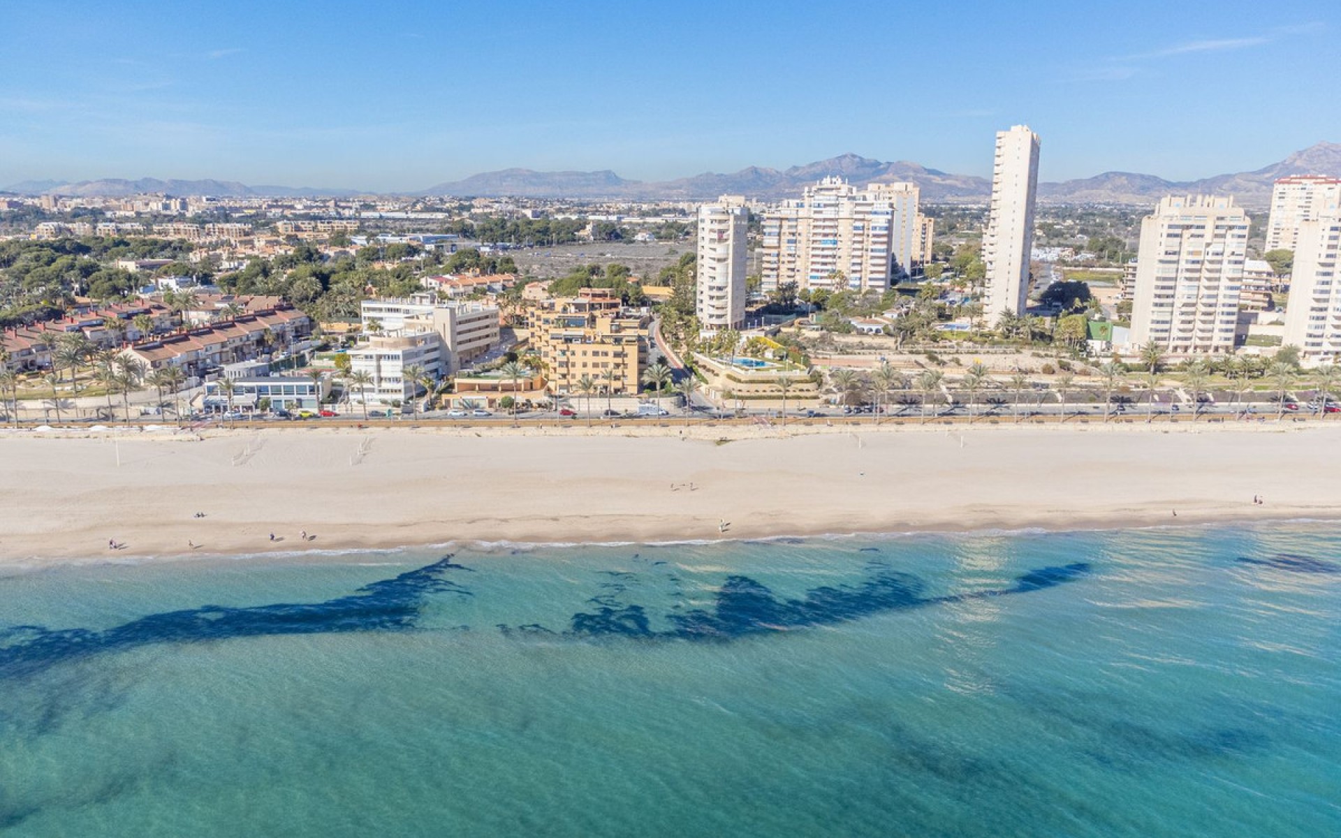 zum Verkauf - Apartment - El Campello - El Campello 