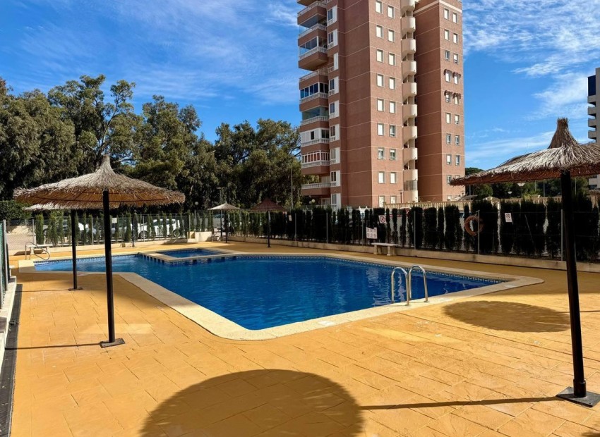 zum Verkauf - Apartment - Guardamar Del Segura - Guardamar del Segura Centro