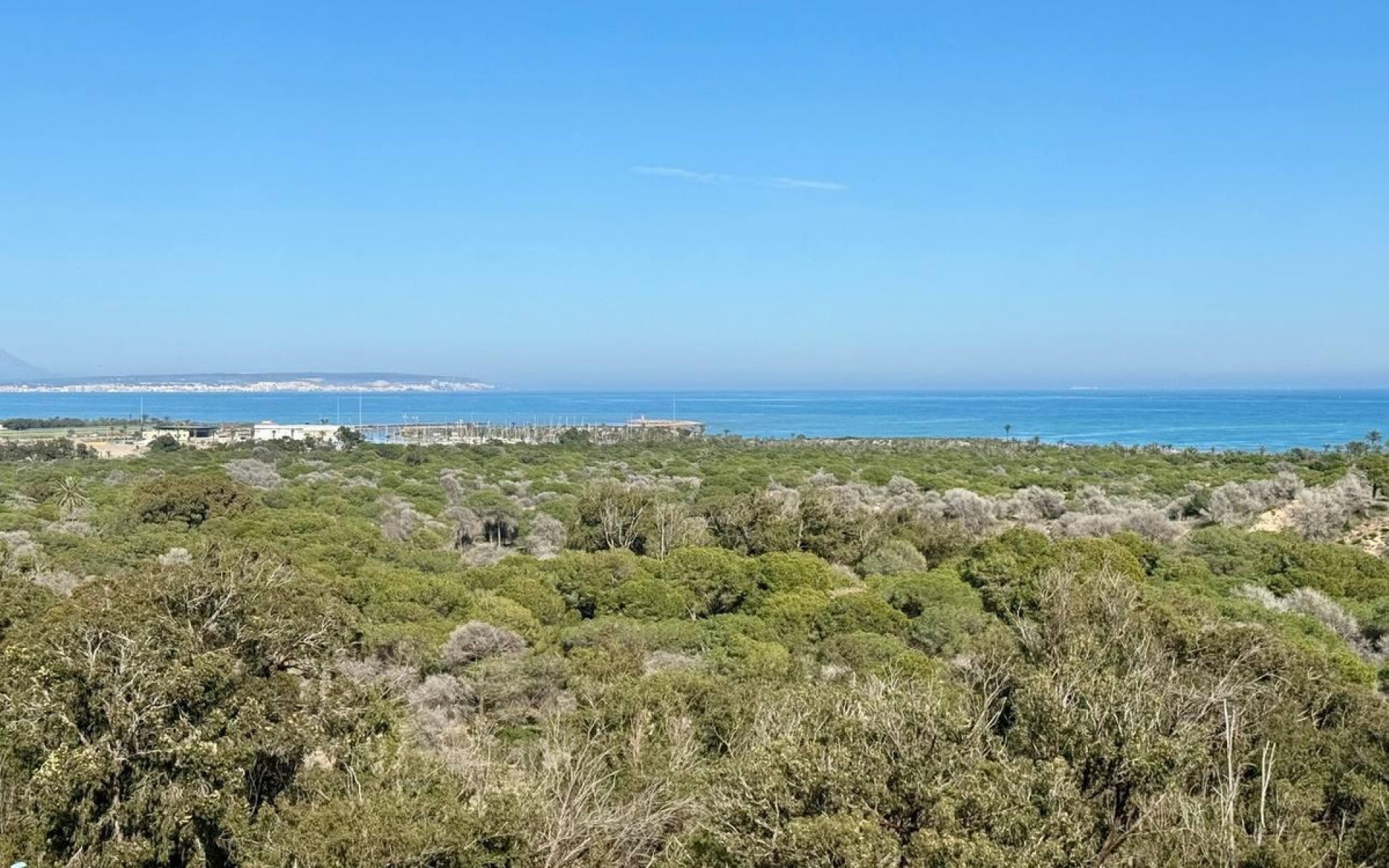 zum Verkauf - Apartment - Guardamar Del Segura - Guardamar del Segura Centro