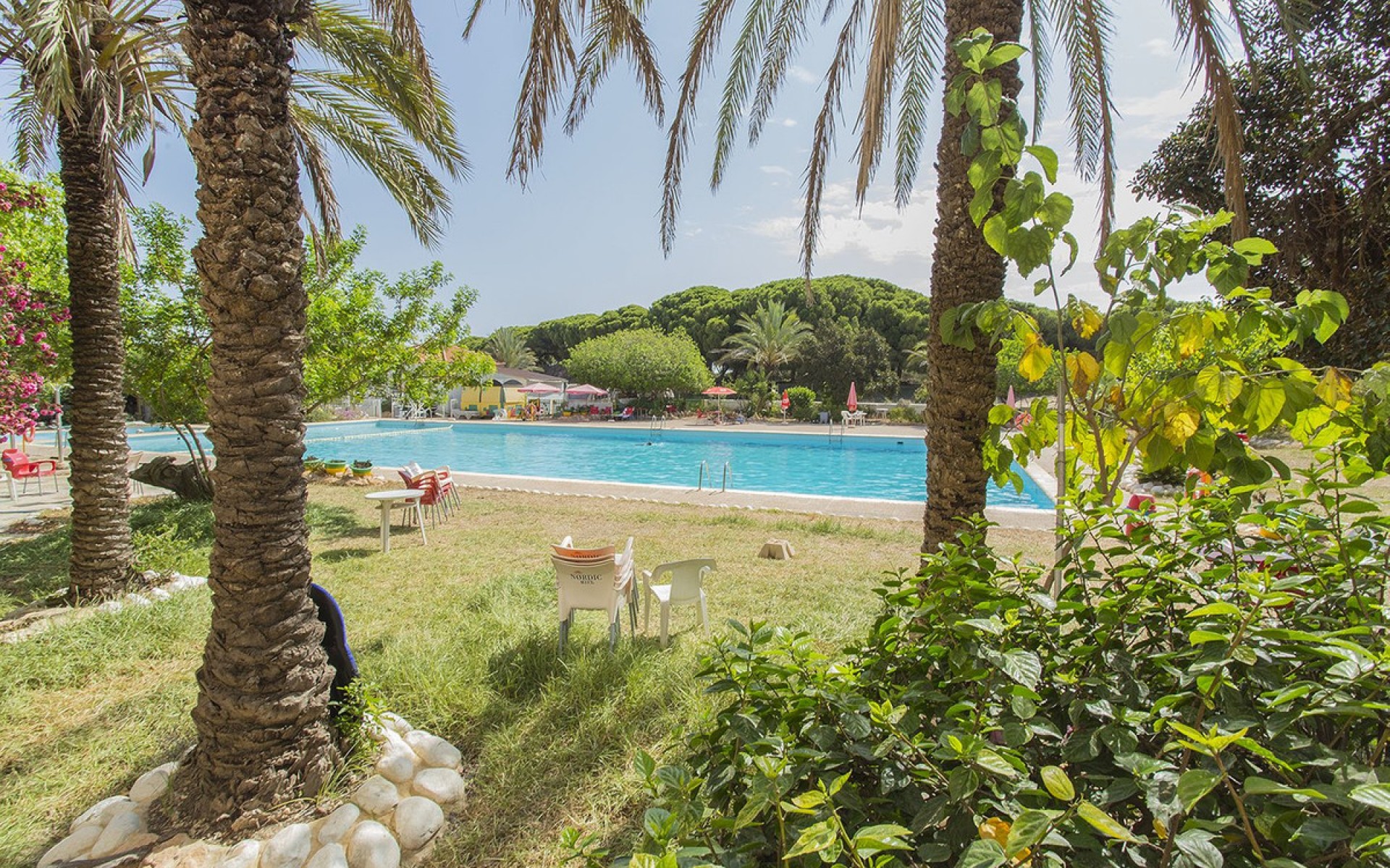 zum Verkauf - Apartment - Guardamar Del Segura - Guardamar del Segura Centro