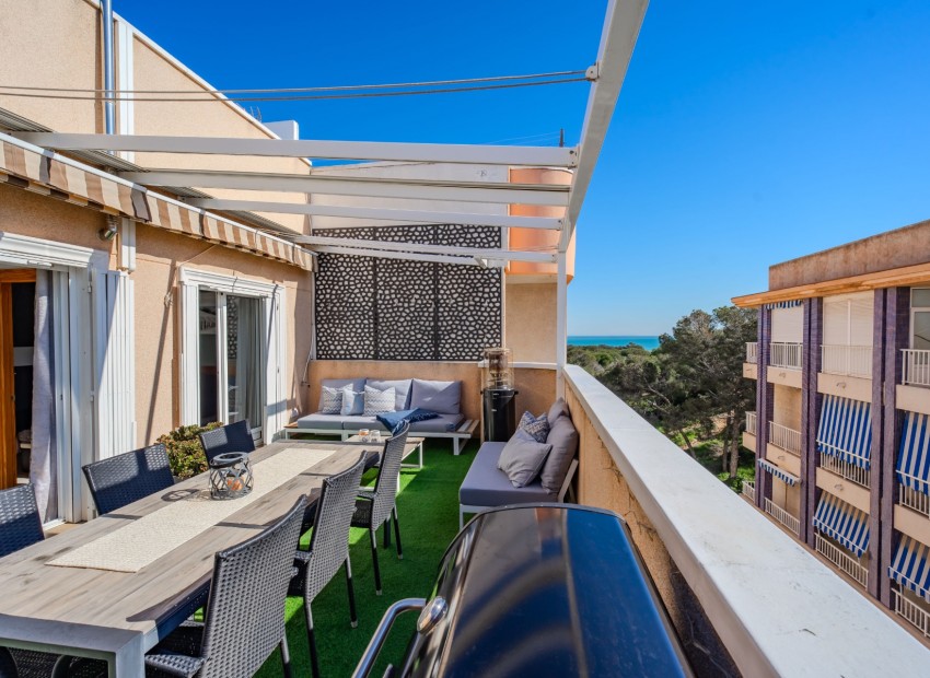 zum Verkauf - Apartment - Guardamar Del Segura - Guardamar del Segura