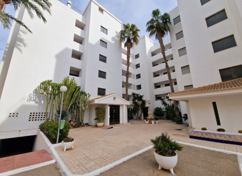 zum Verkauf - Apartment - Guardamar Del Segura - Mercadona Guardamar