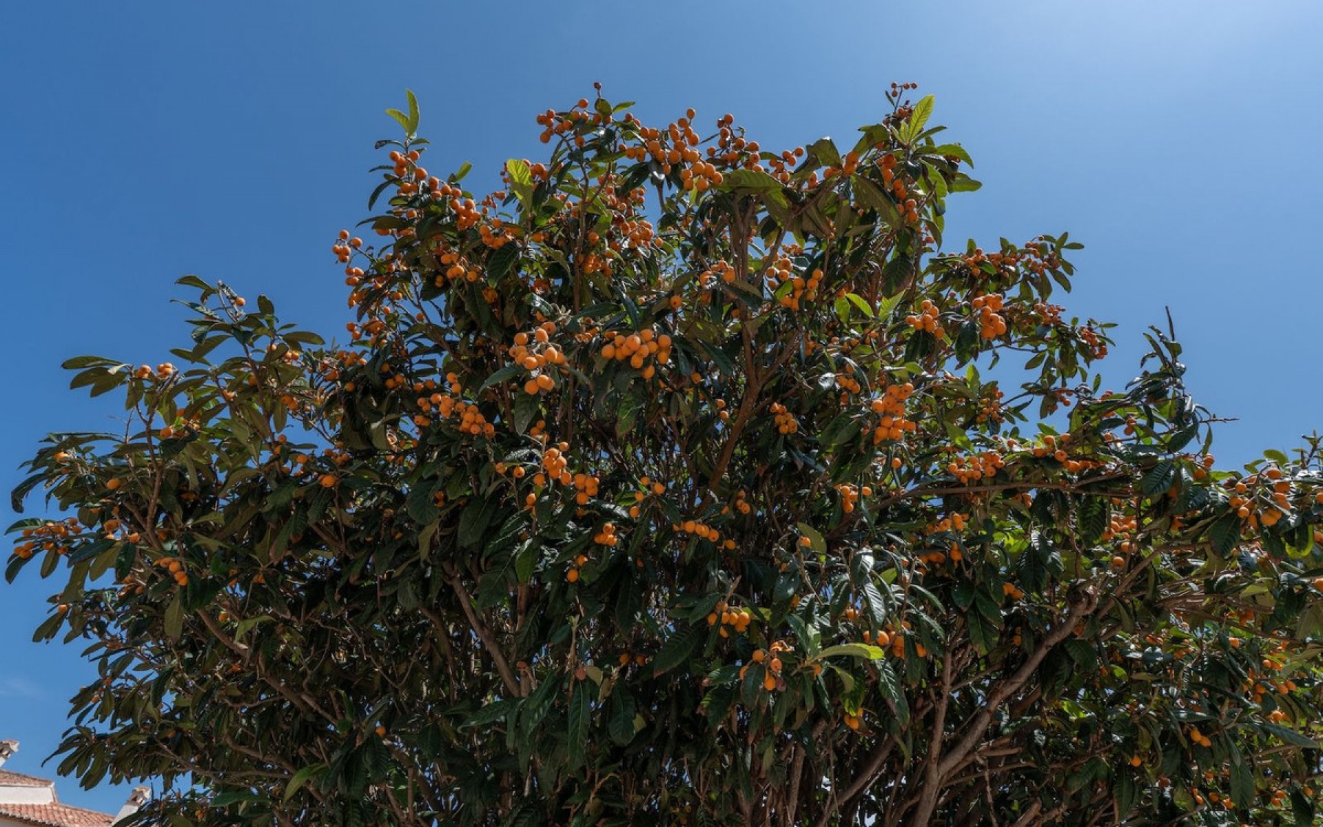 zum Verkauf - Apartment - Javea - Jávea - Xàbia Centro