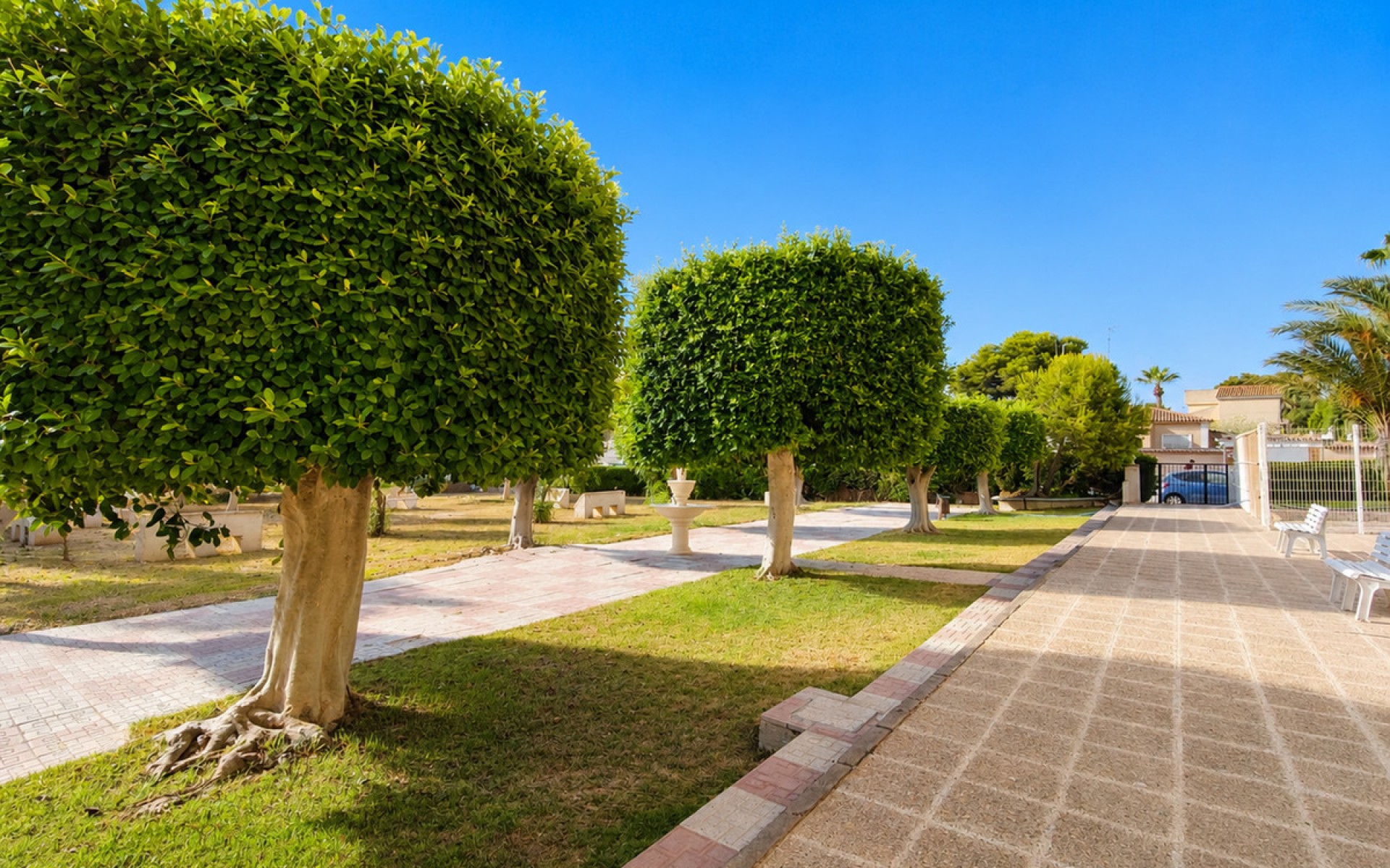zum Verkauf - Apartment - La Zenia