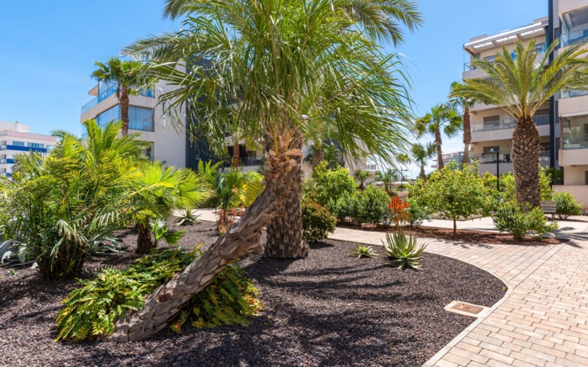 zum Verkauf - Apartment - Orihuela Costa - Villamartin