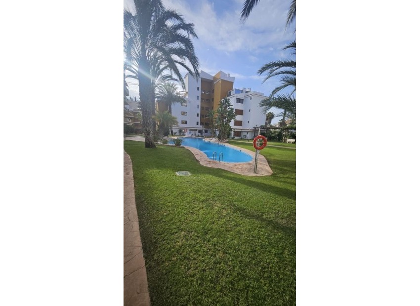 zum Verkauf - Apartment - Orihuela - Punta Prima
