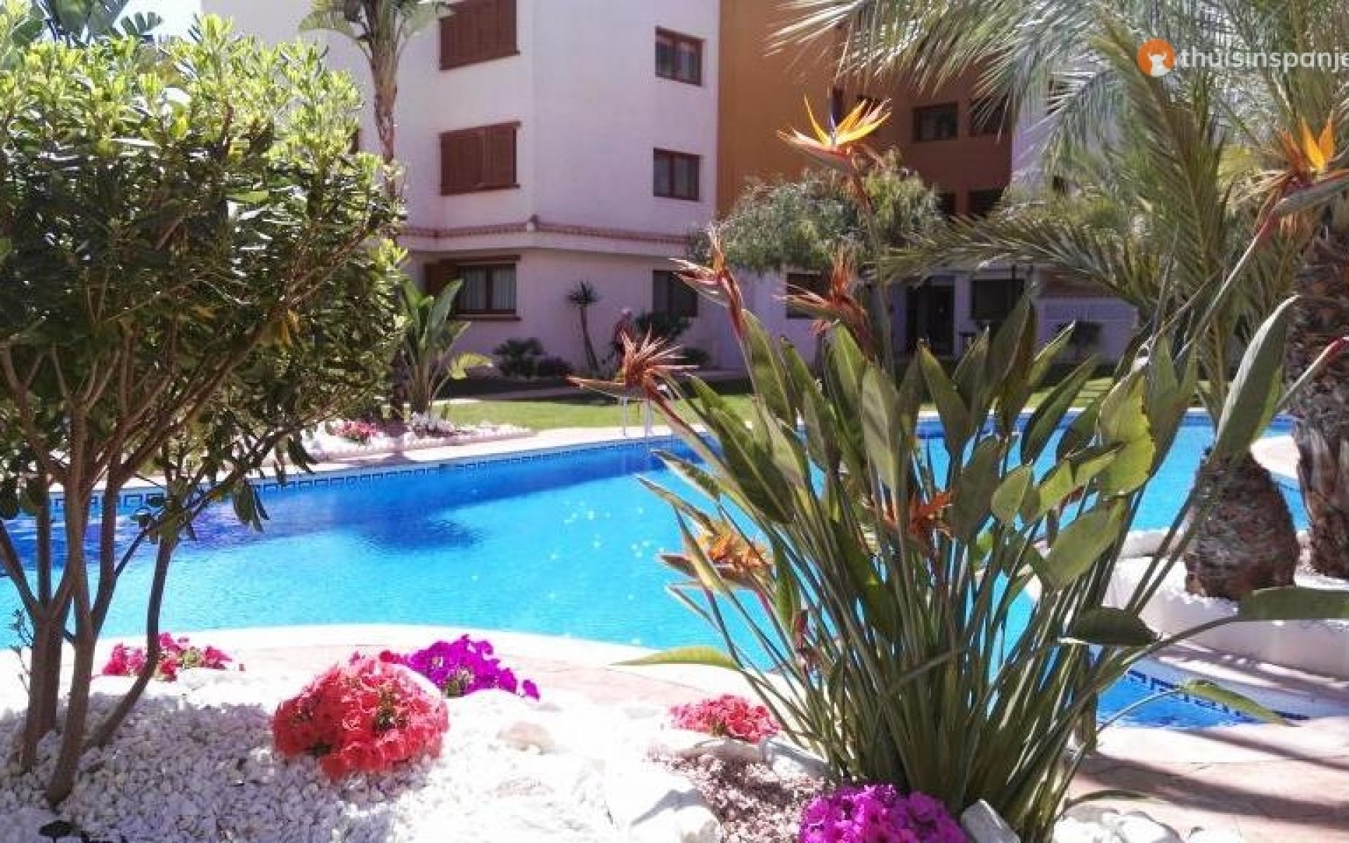 zum Verkauf - Apartment - Punta Prima - La Entrada