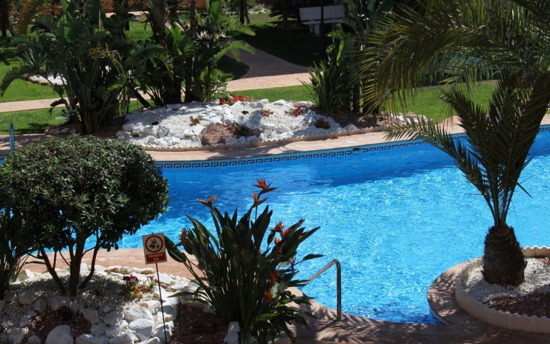 zum Verkauf - Apartment - Punta Prima - La Entrada