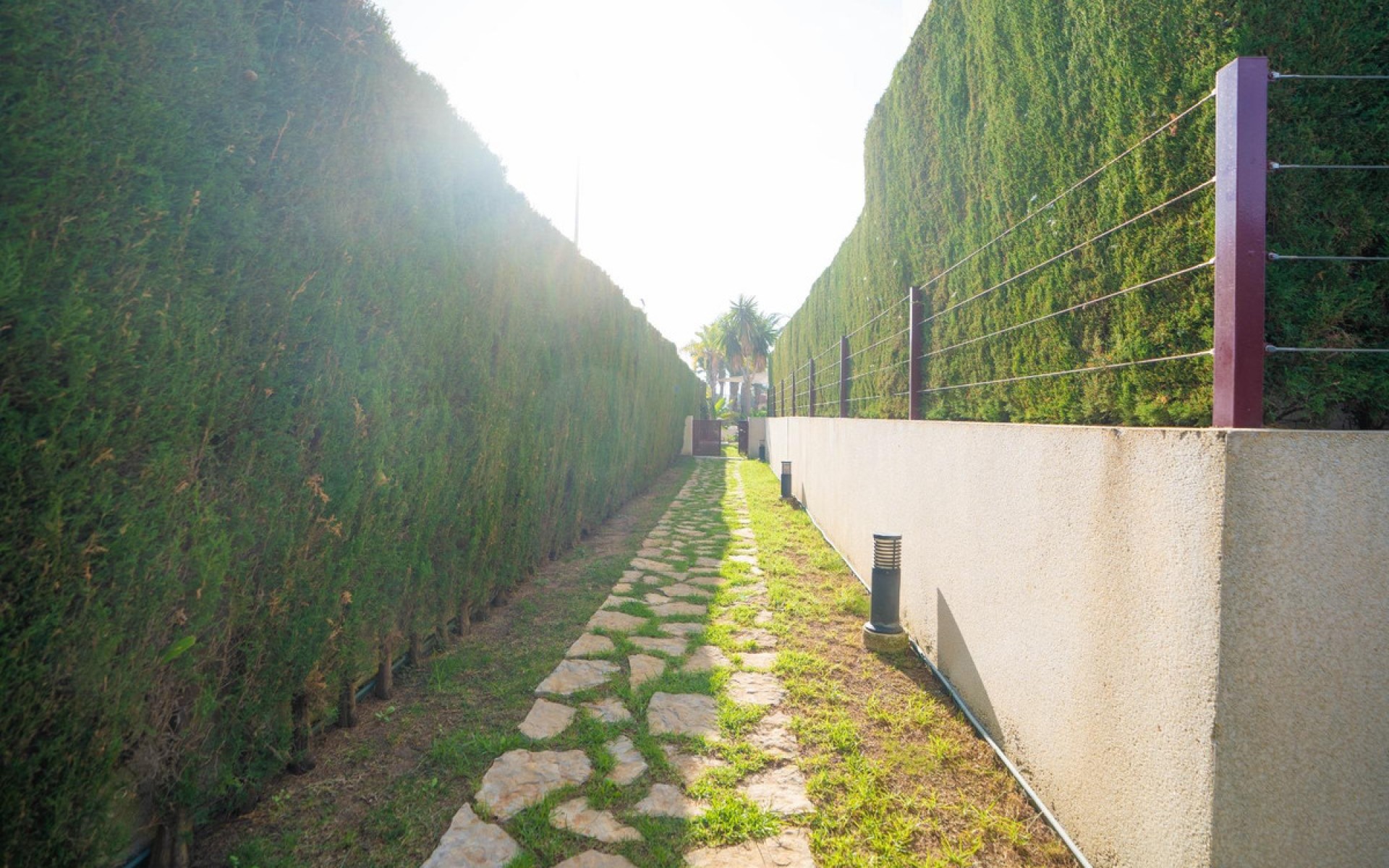 zum Verkauf - Apartment - Punta Prima - Rocio del Mar