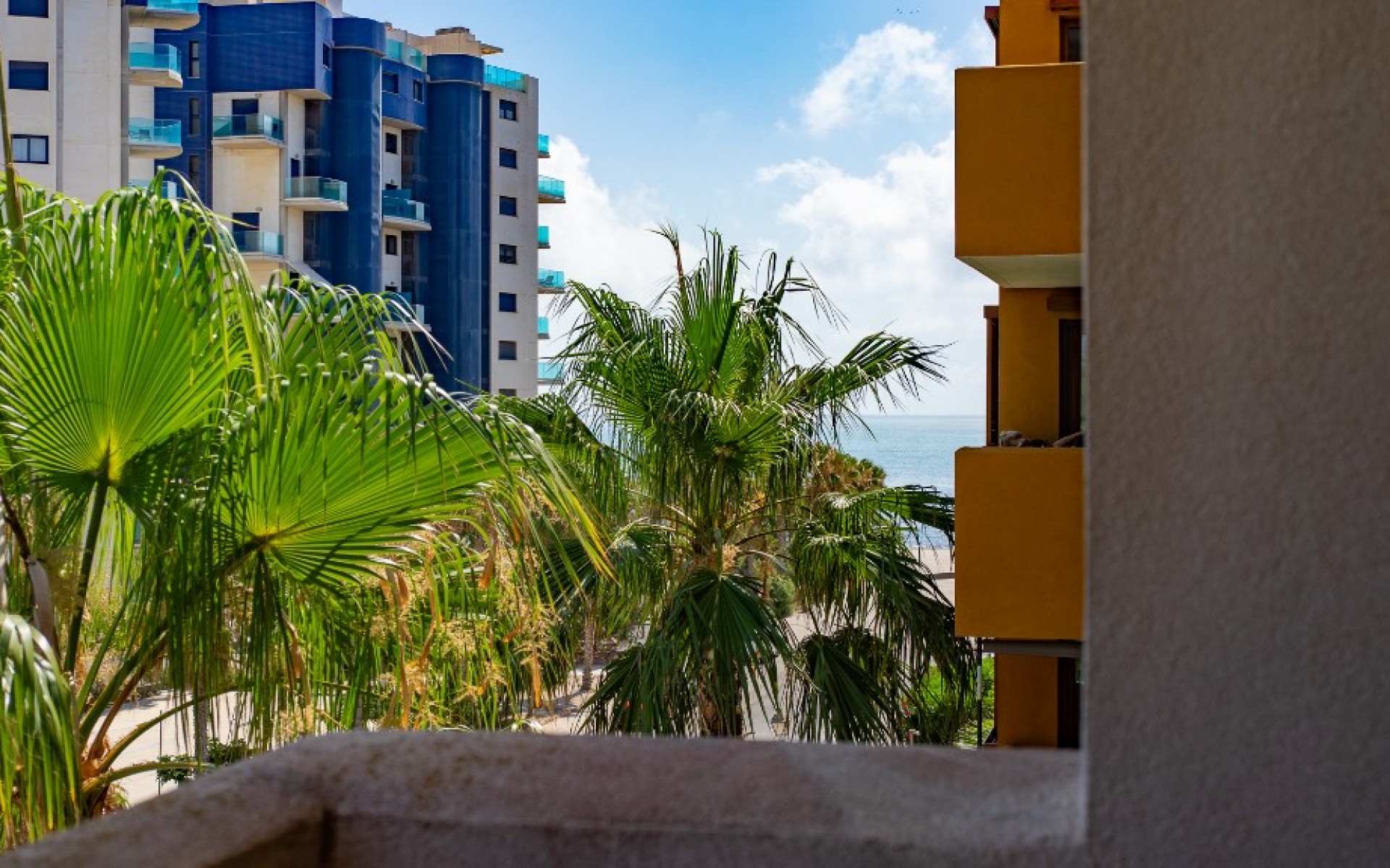 zum Verkauf - Apartment - Punta Prima