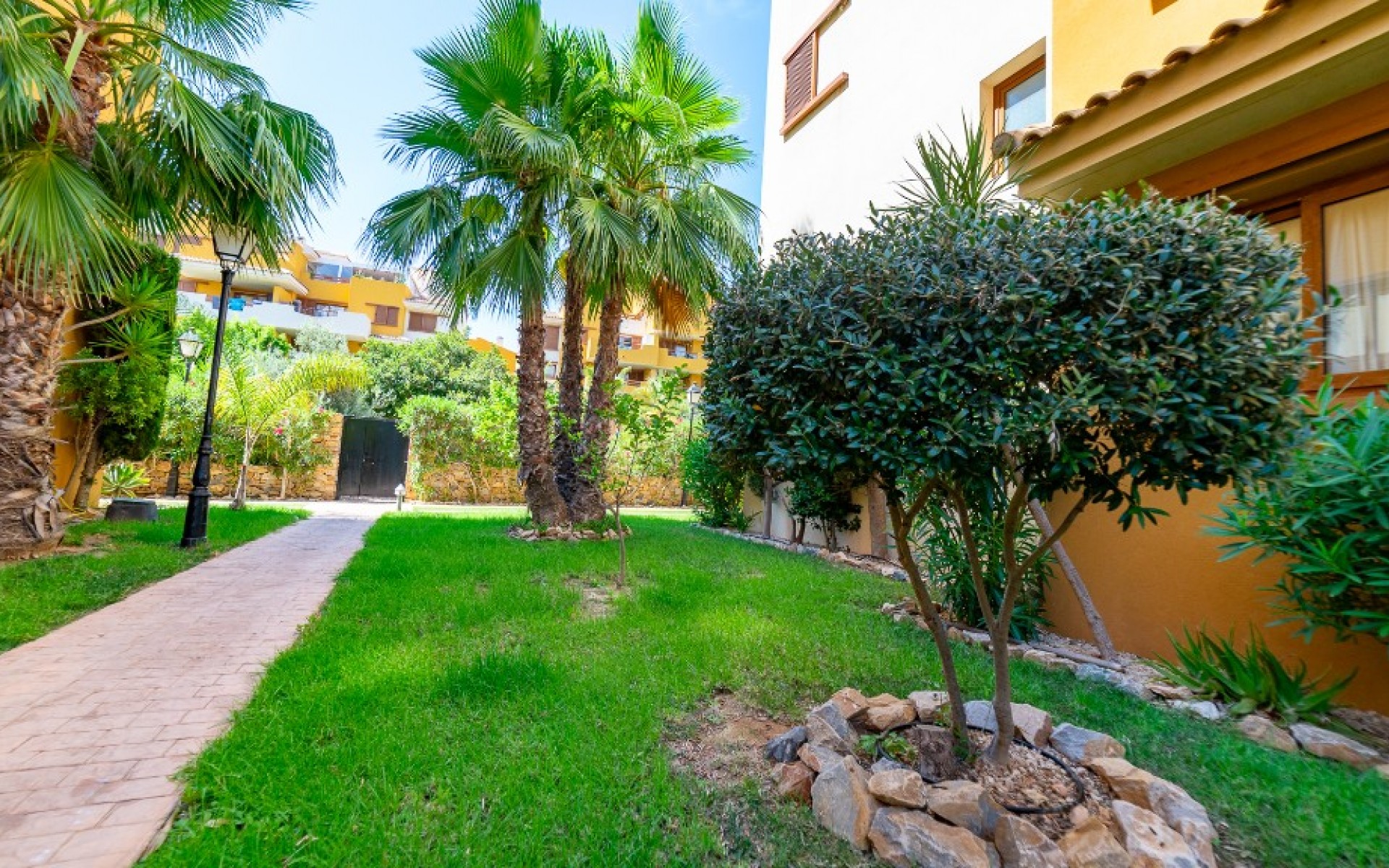 zum Verkauf - Apartment - Punta Prima