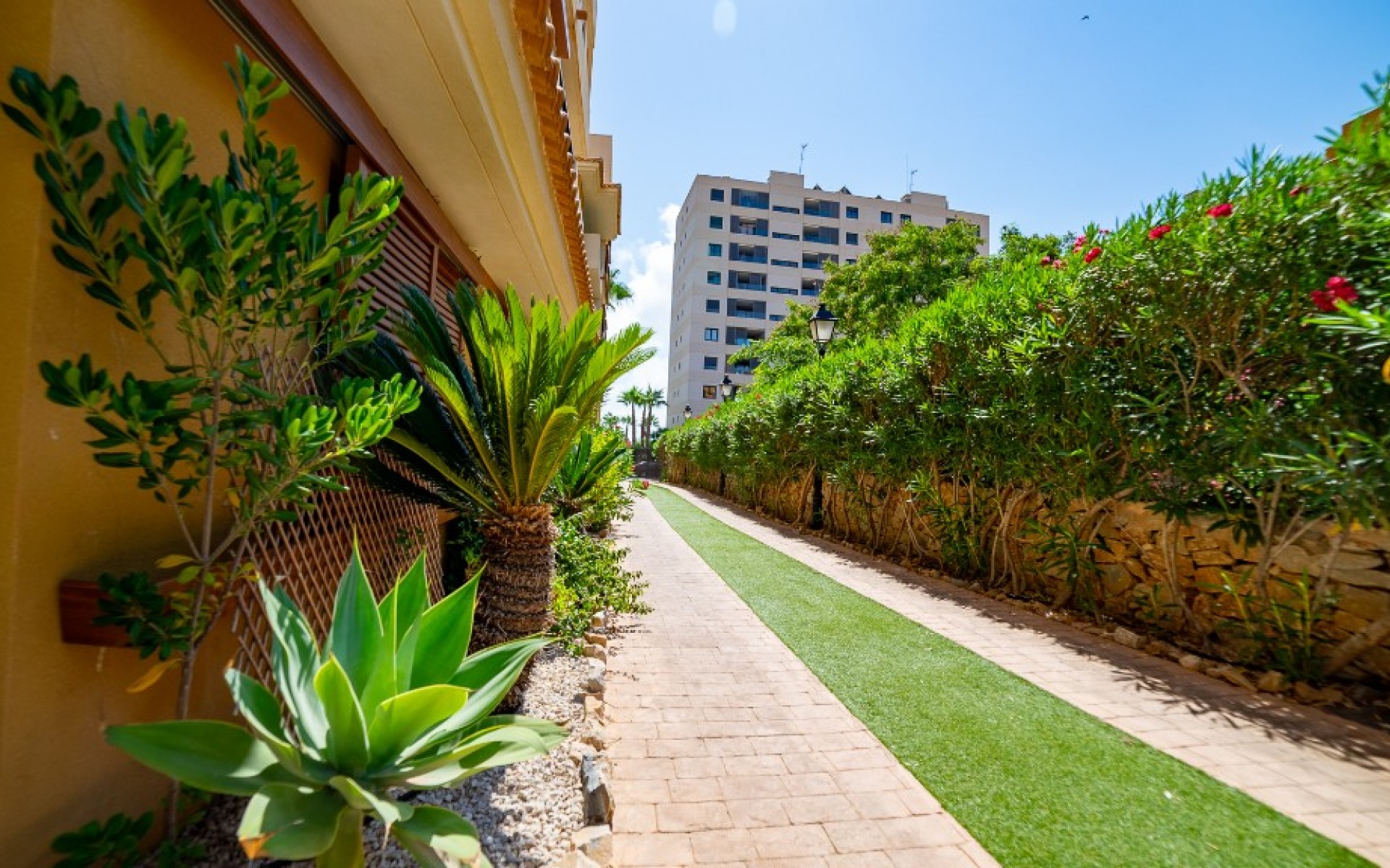 zum Verkauf - Apartment - Punta Prima