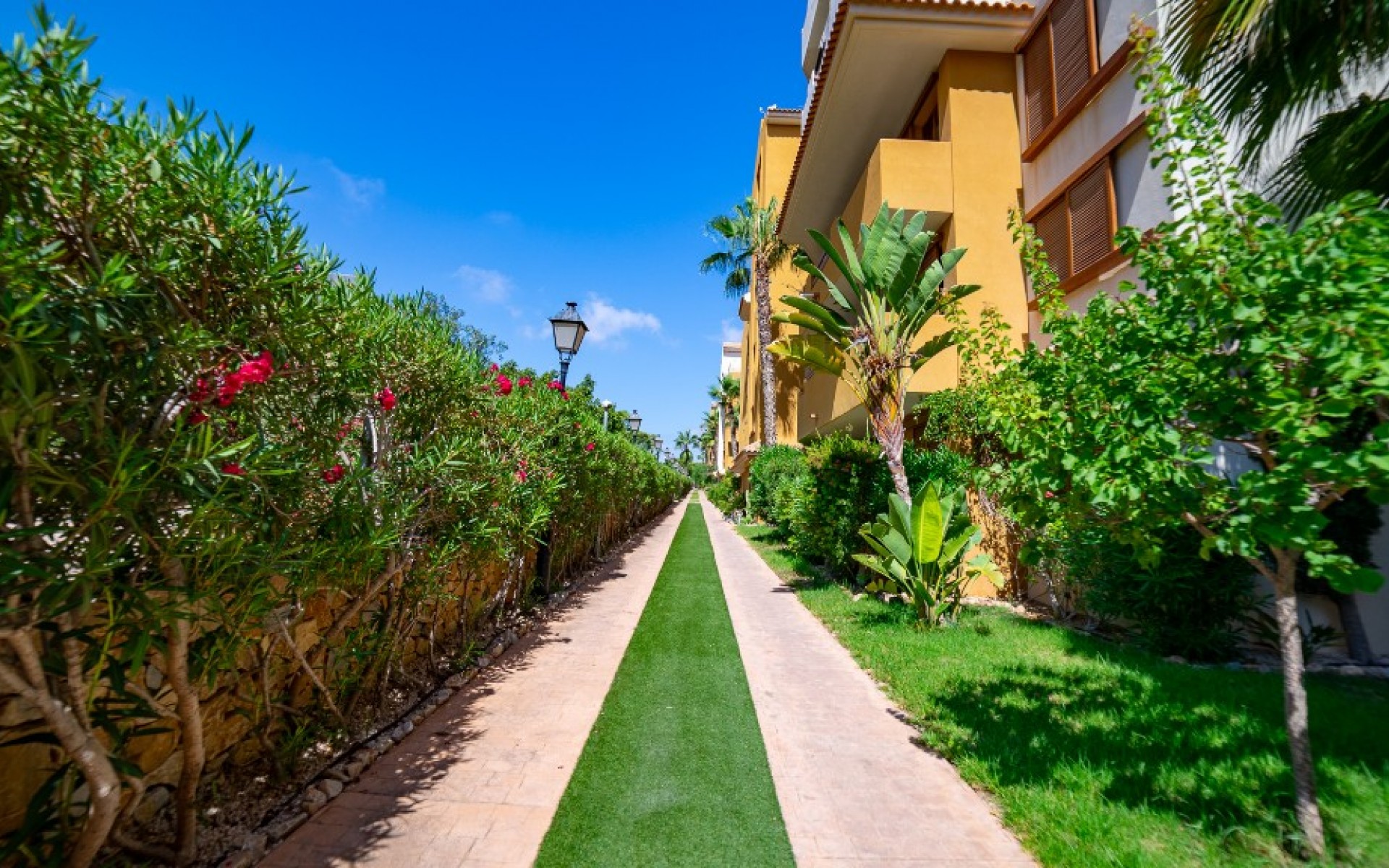 zum Verkauf - Apartment - Punta Prima