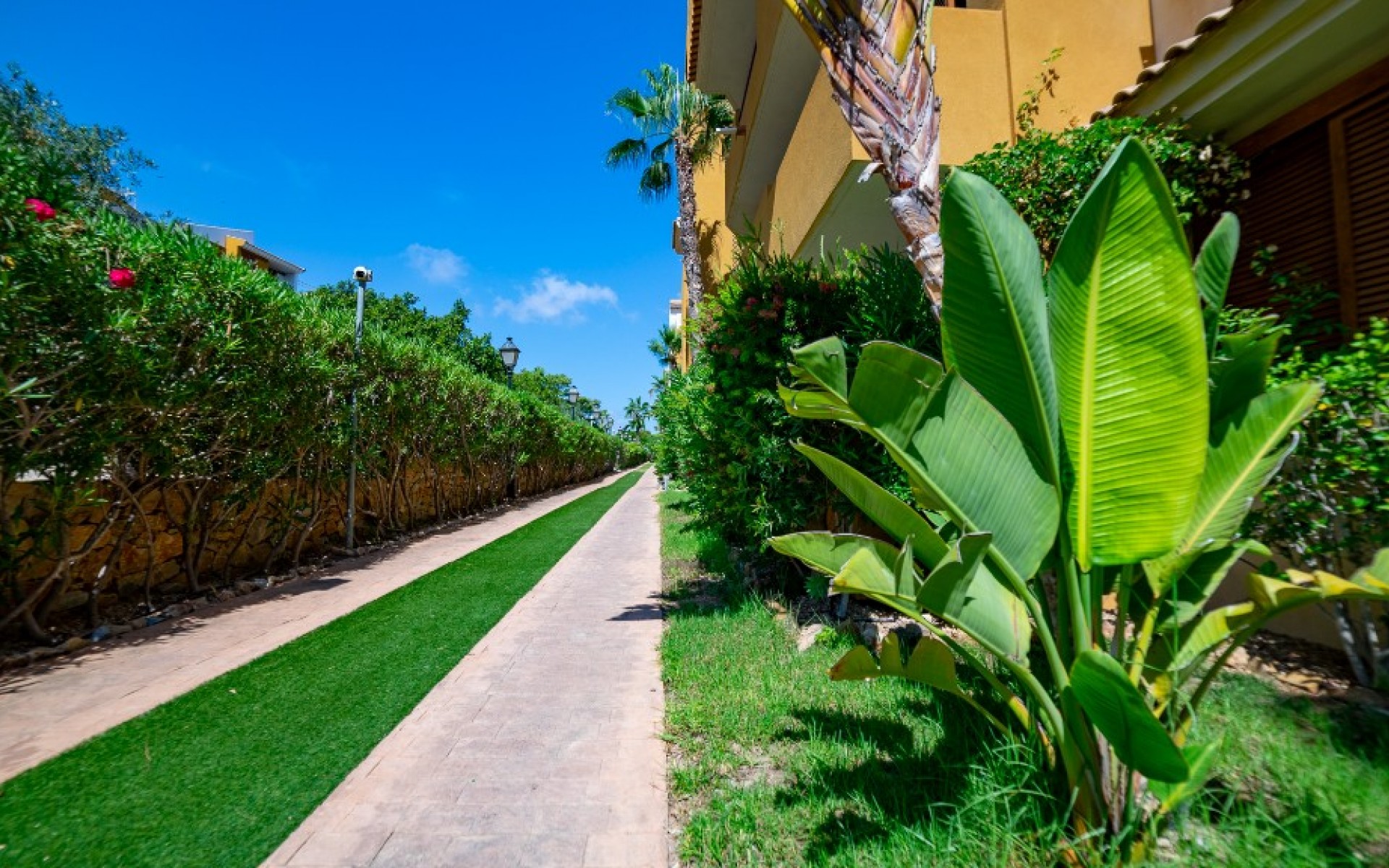 zum Verkauf - Apartment - Punta Prima