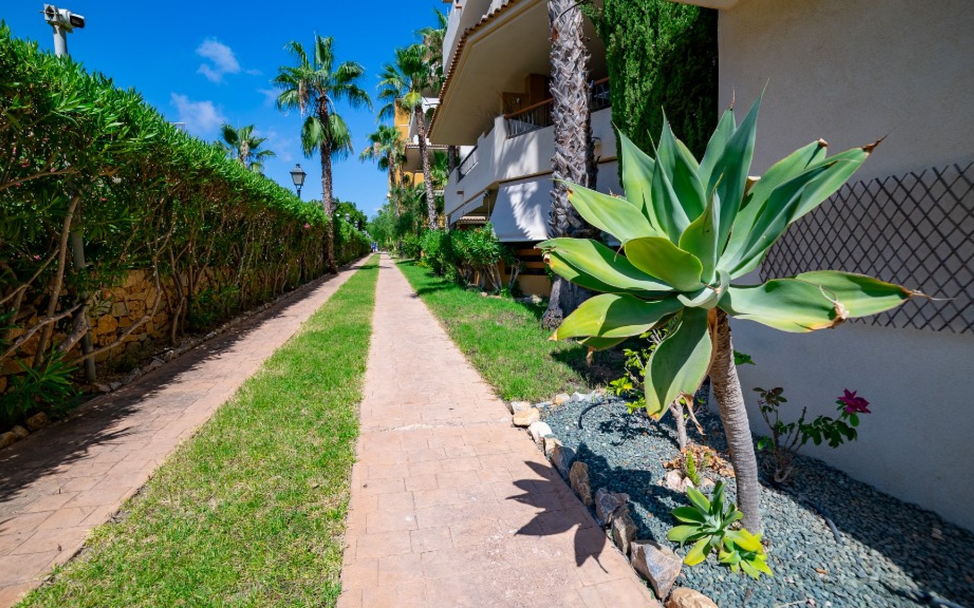 zum Verkauf - Apartment - Punta Prima