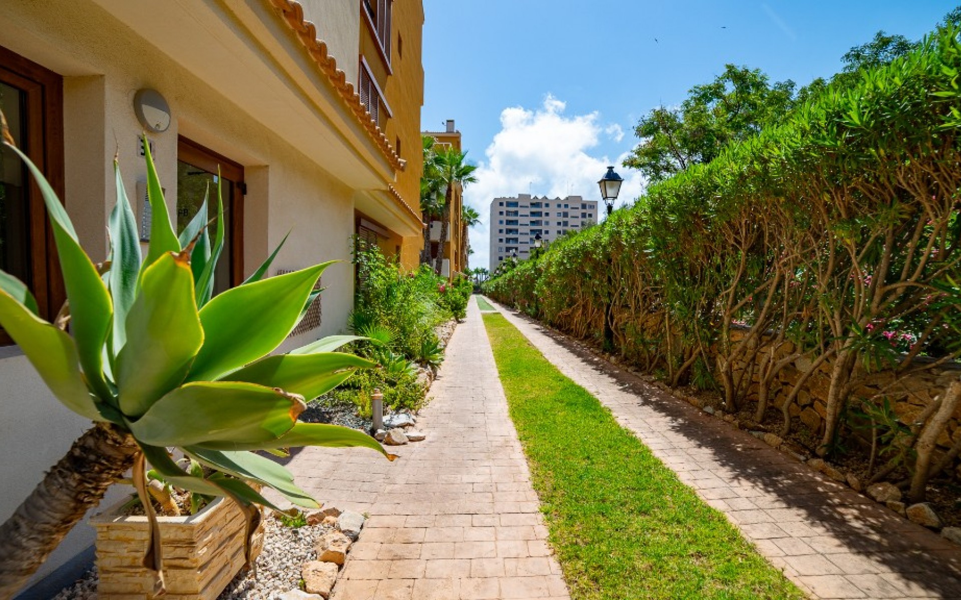 zum Verkauf - Apartment - Punta Prima