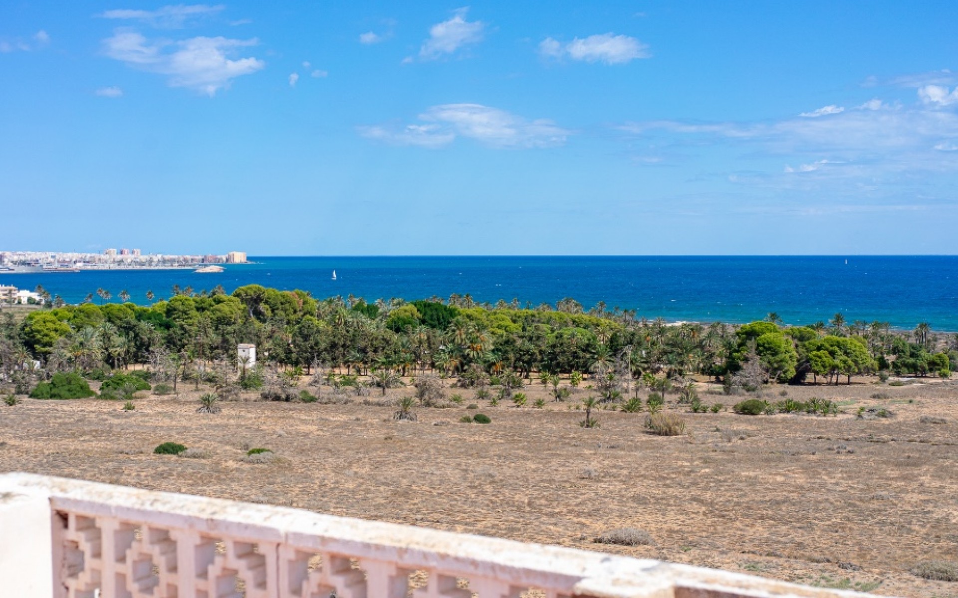 zum Verkauf - Apartment - Punta Prima