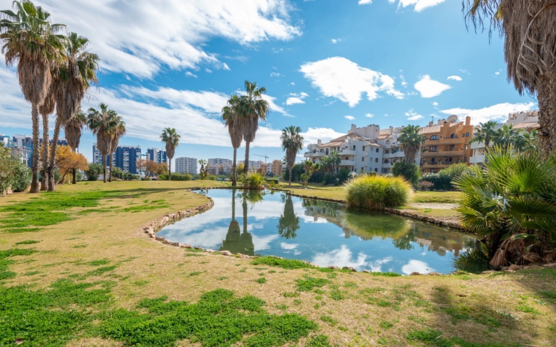 zum Verkauf - Apartment - Punta Prima