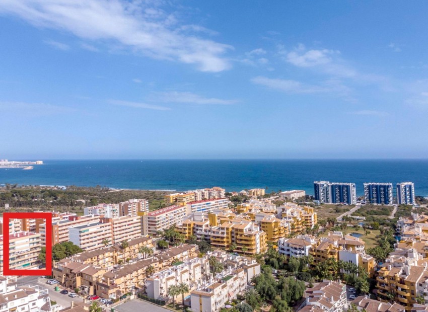 zum Verkauf - Apartment - Punta Prima