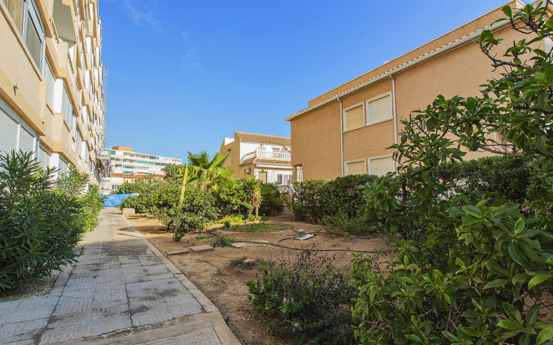 zum Verkauf - Apartment - Torrevieja - La Mata