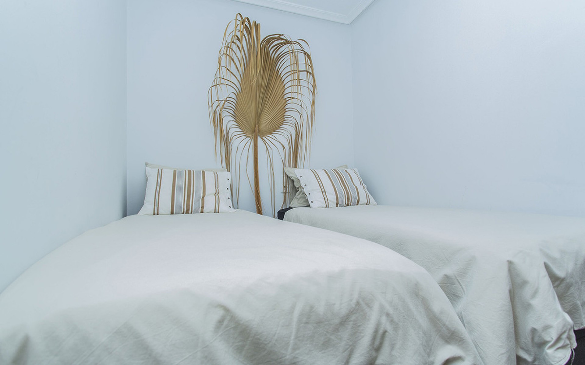 zum Verkauf - Apartment - Torrevieja - La Mata