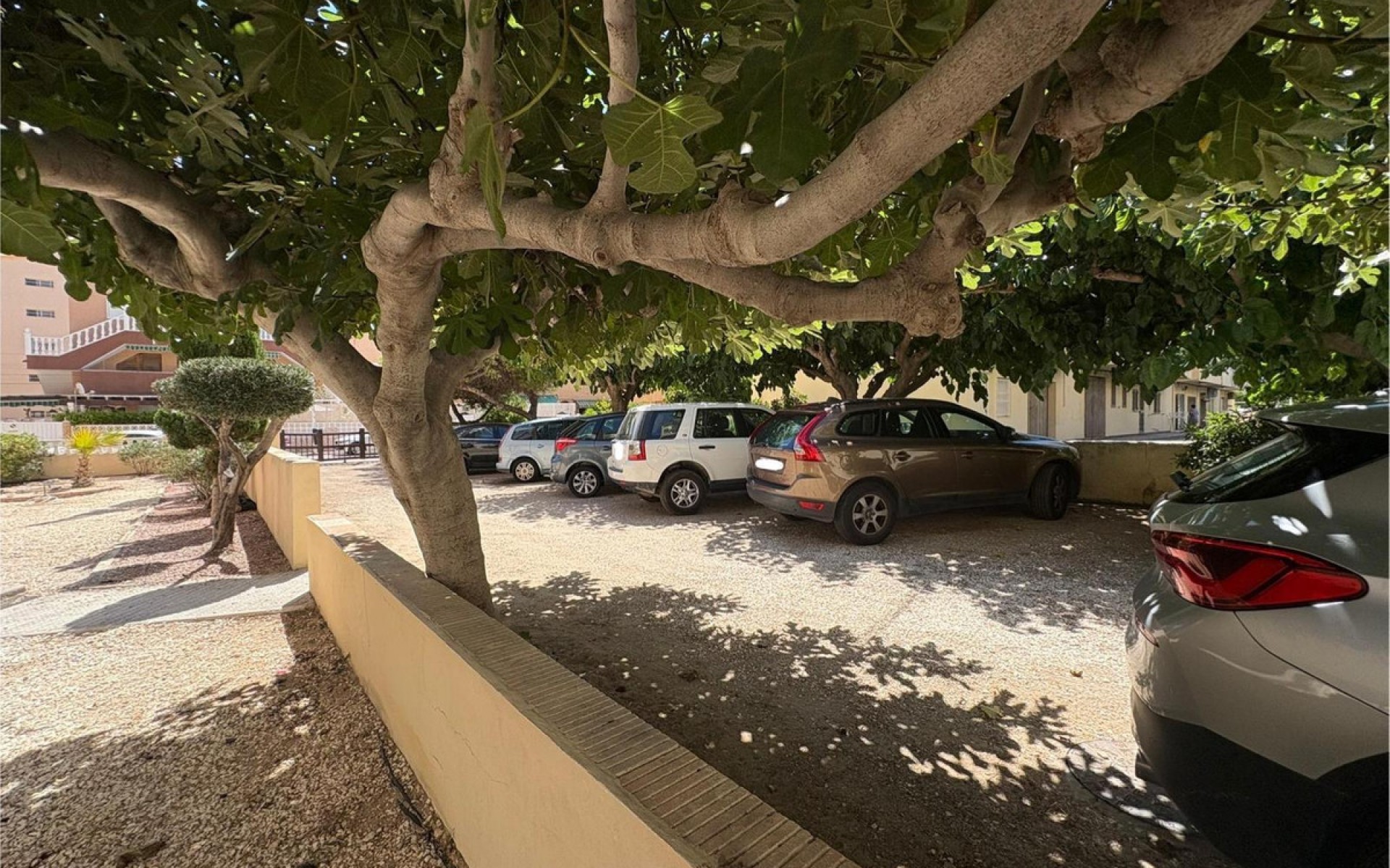 zum Verkauf - Apartment - Torrevieja - La Mata