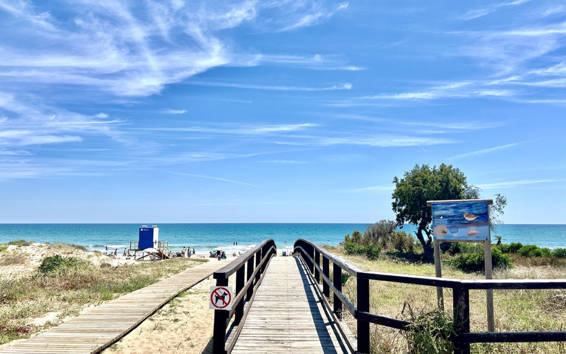 zum Verkauf - Apartment - Torrevieja - La Mata