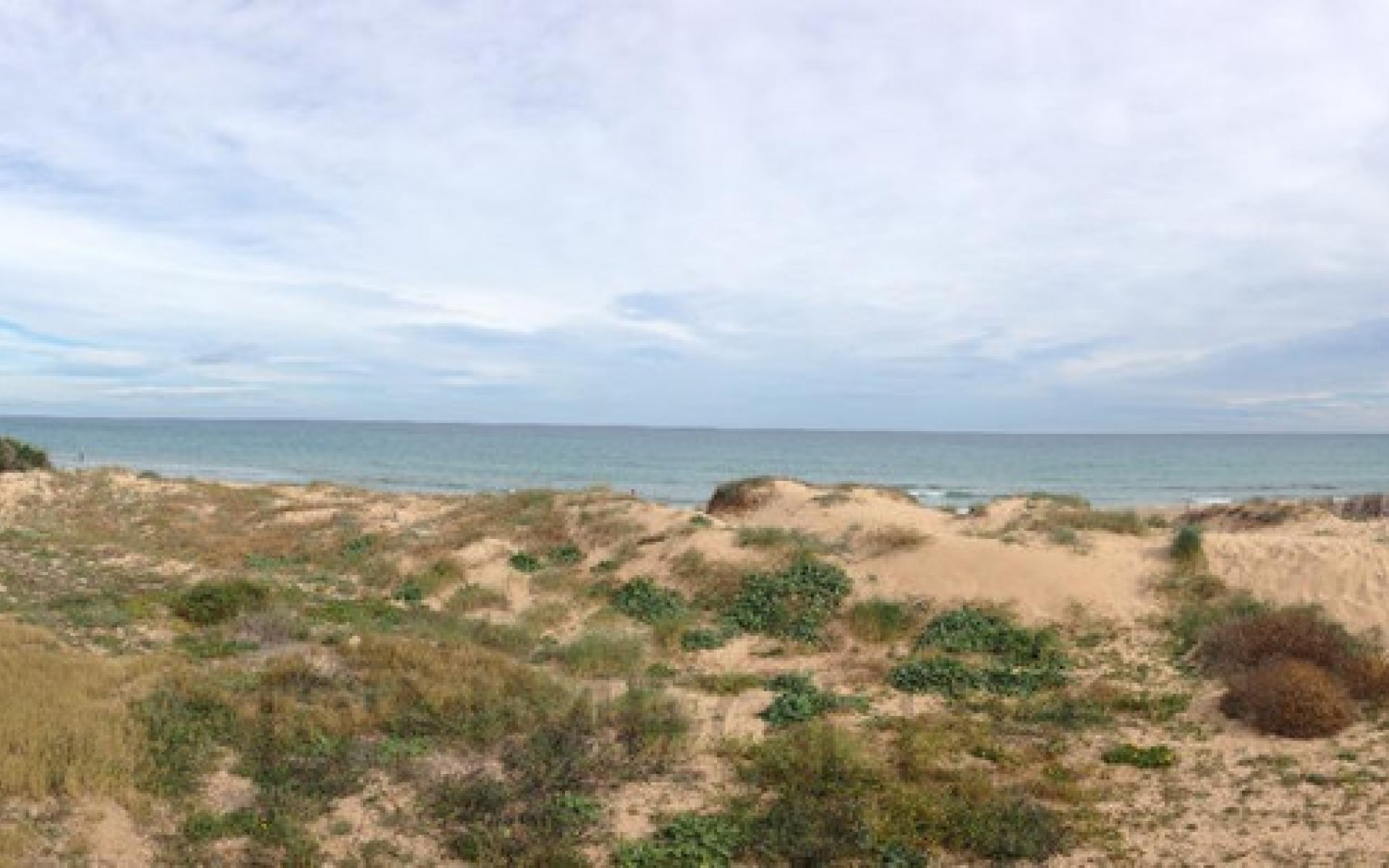 zum Verkauf - Apartment - Torrevieja - La Mata