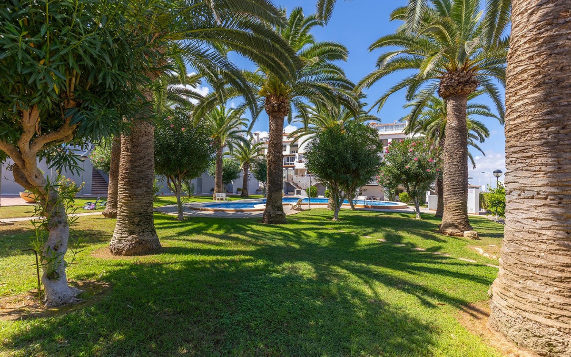 zum Verkauf - Apartment - Torrevieja - La Mata