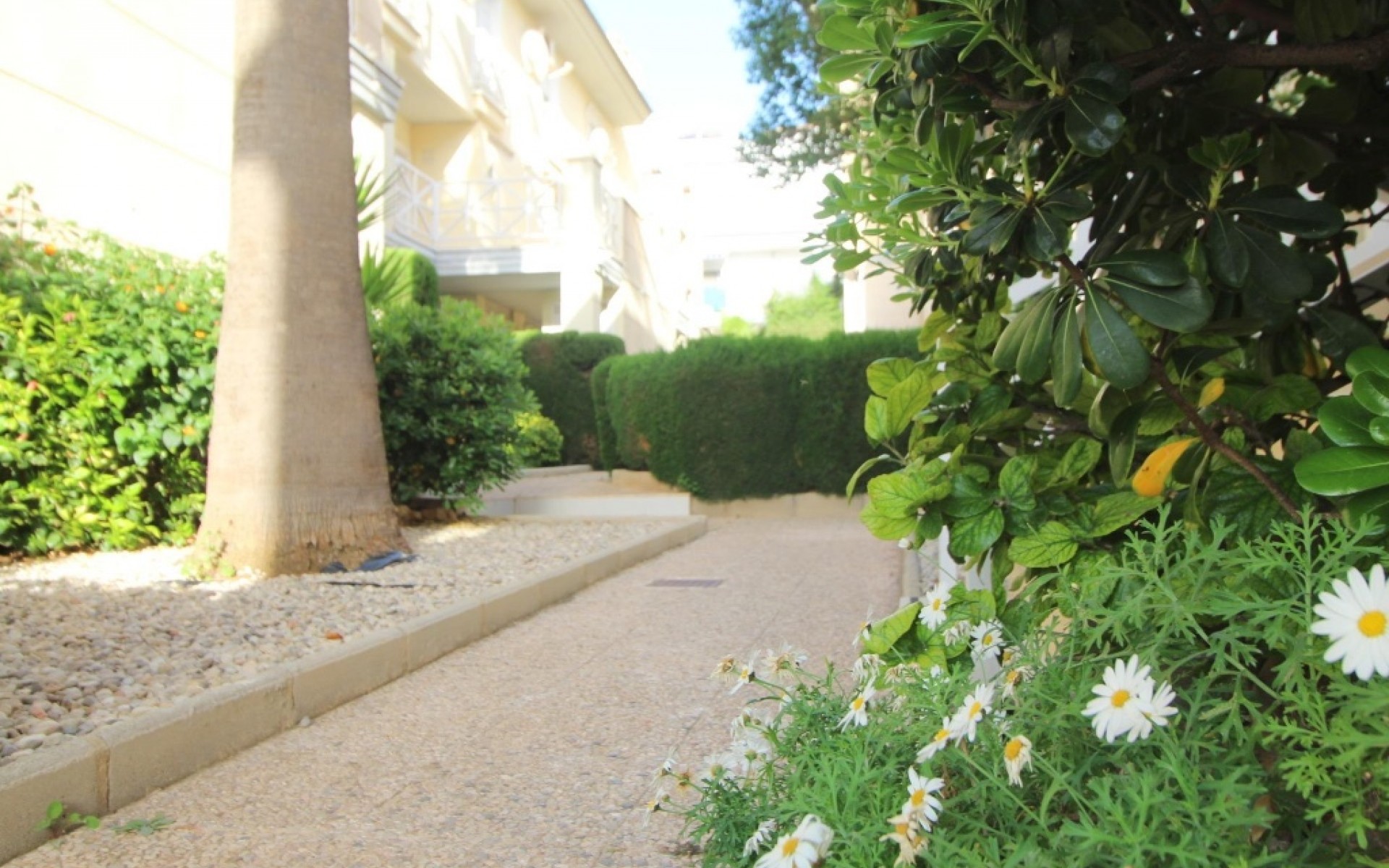 zum Verkauf - Apartment - Torrevieja - La Veleta