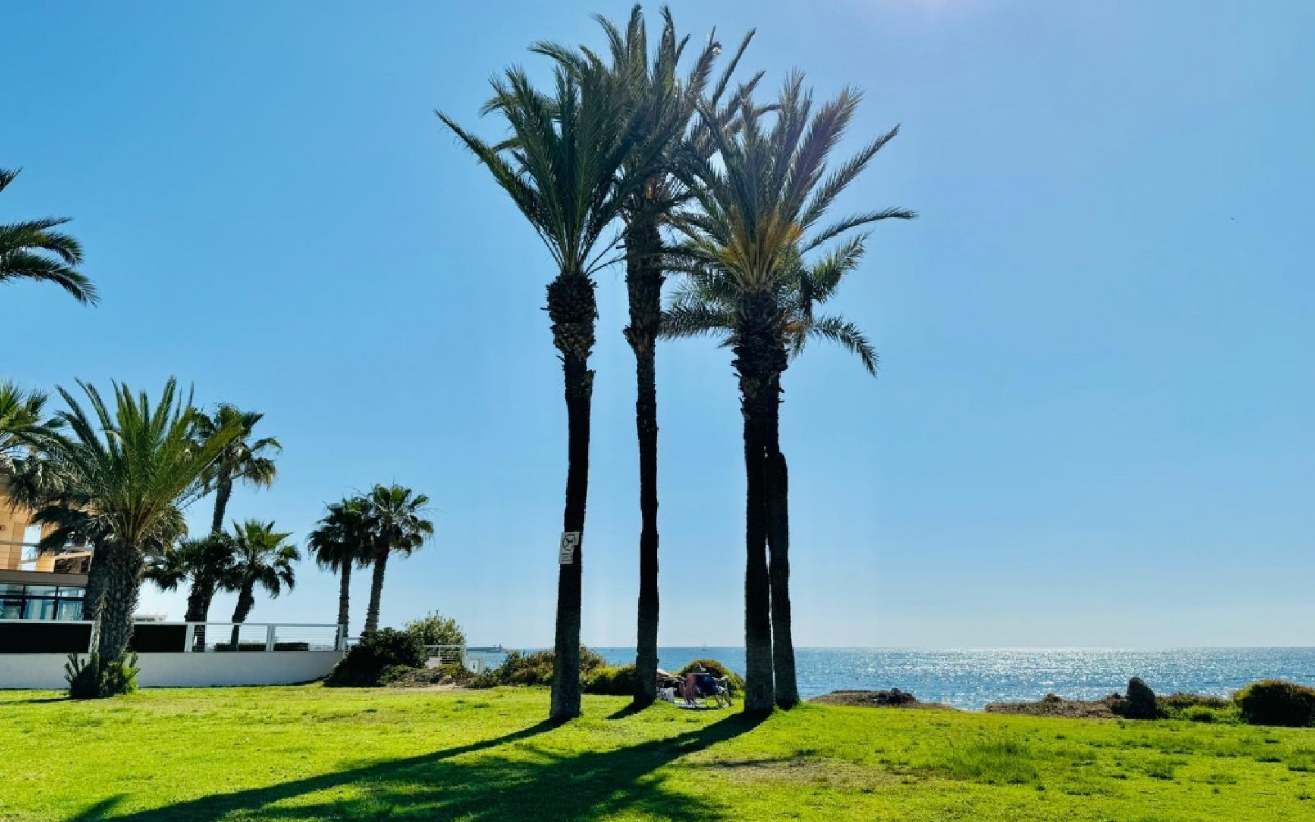 zum Verkauf - Apartment - Torrevieja - La Veleta