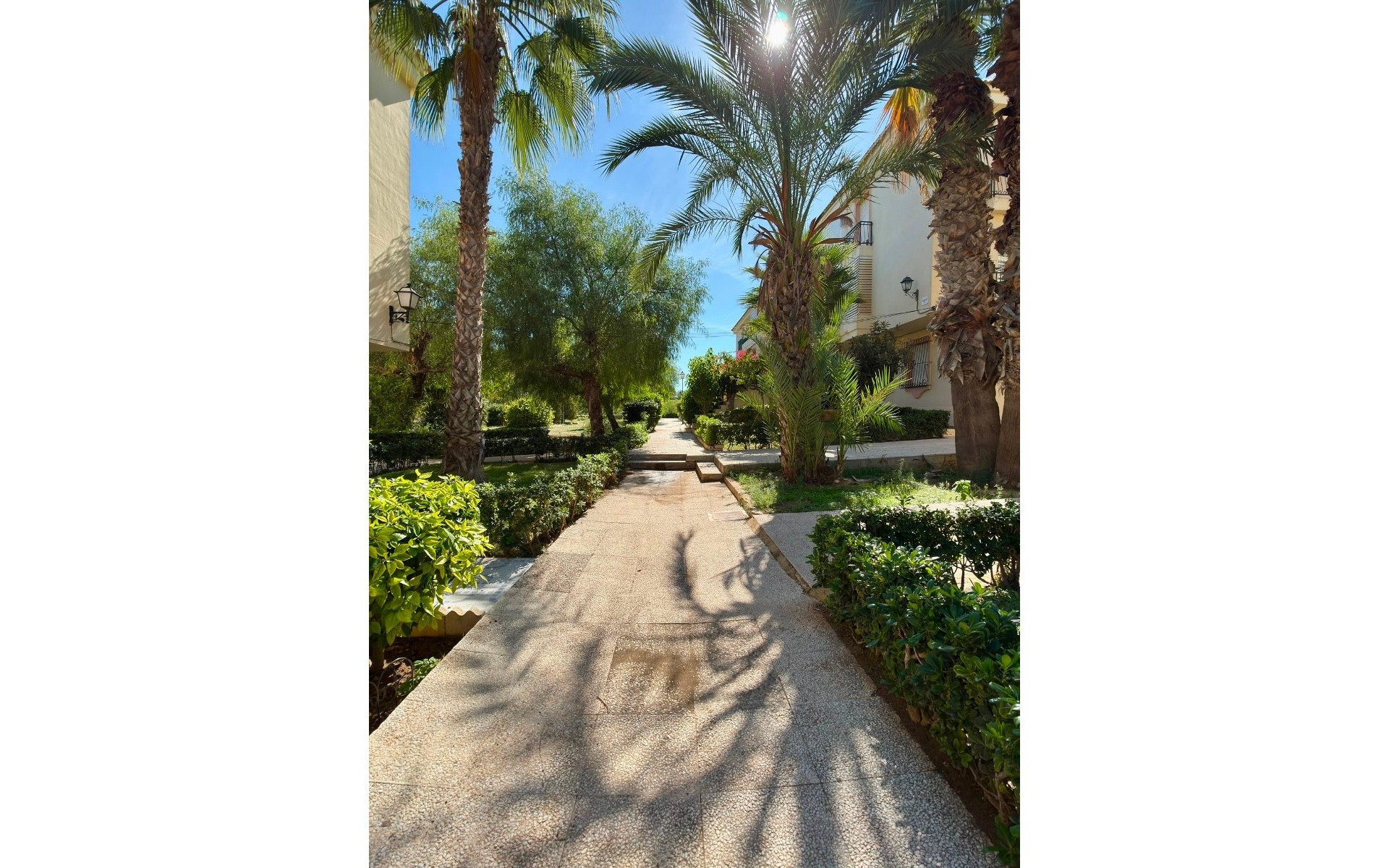 zum Verkauf - Apartment - Torrevieja - La Veleta