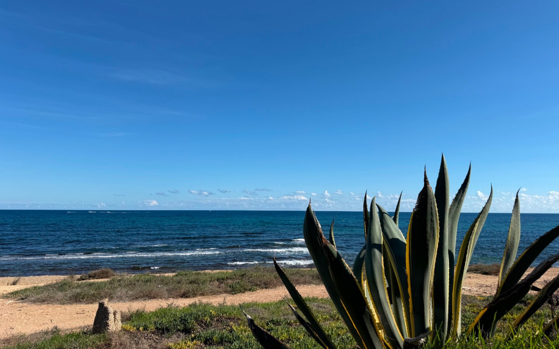 zum Verkauf - Apartment - Torrevieja - La Veleta