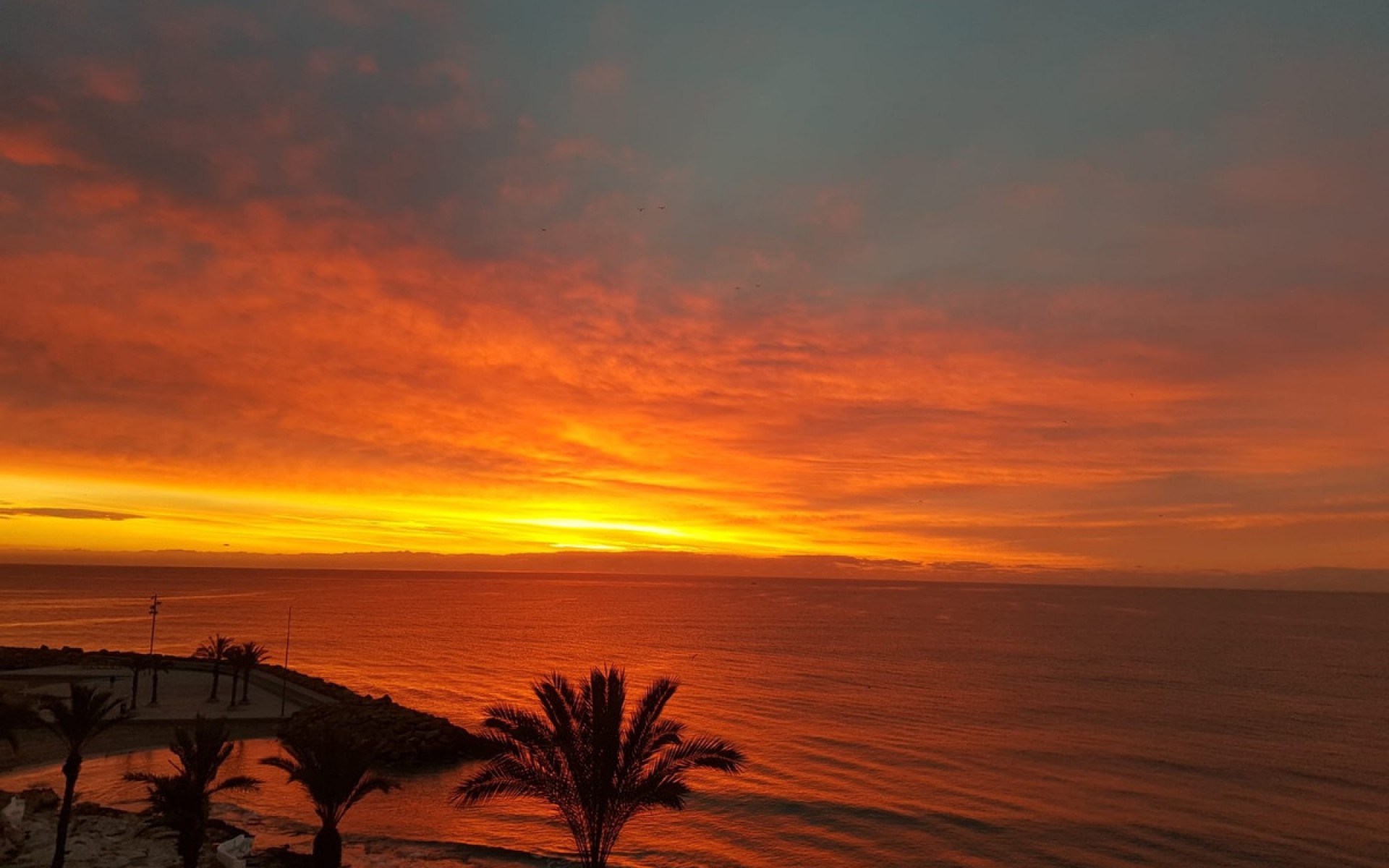 zum Verkauf - Apartment - Torrevieja - Playa del Cura